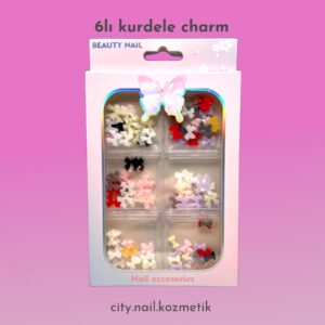 6 LI CHARM SETİ KURDELE