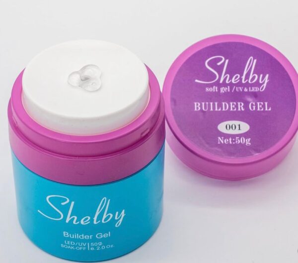 SHELBY POMPALI JEL NO1