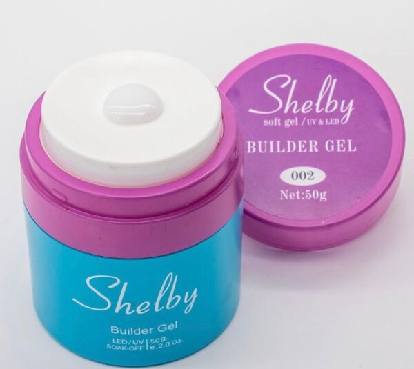SHELBY POMPALI JEL NO2