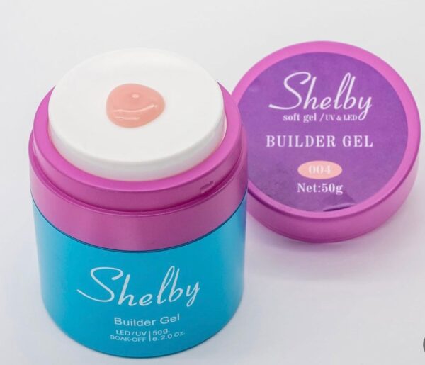 SHELBY POMPALI JEL NO4